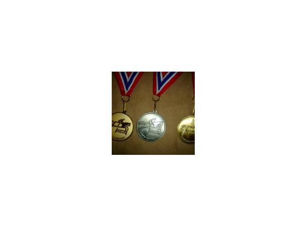Medaljesett kretsmester Sprang